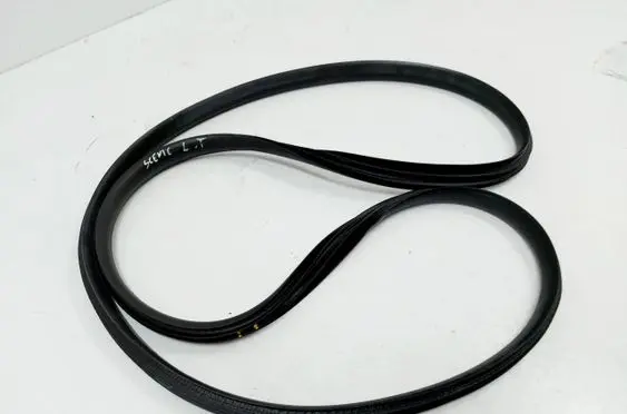 Renault Scenic E-Tech V Rubber seal rear door 