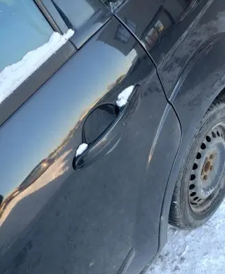 Ford S-MAX Rear door