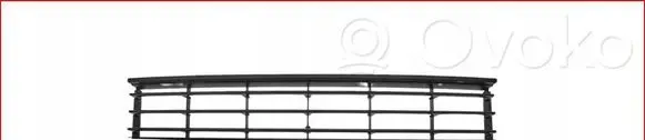 Volkswagen PASSAT B7 Front bumper lower grill 3AA853671