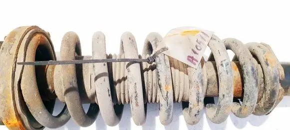 Front coil spring