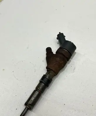Citroen Jumper Fuel injector 0445110076