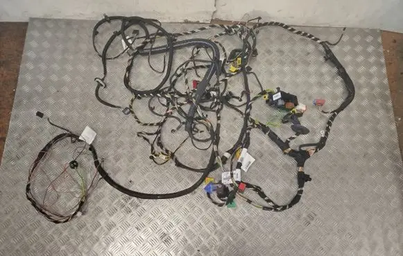 Fiat Scudo Other wiring loom 9806192580 2G1F0005 2G1F0005E997