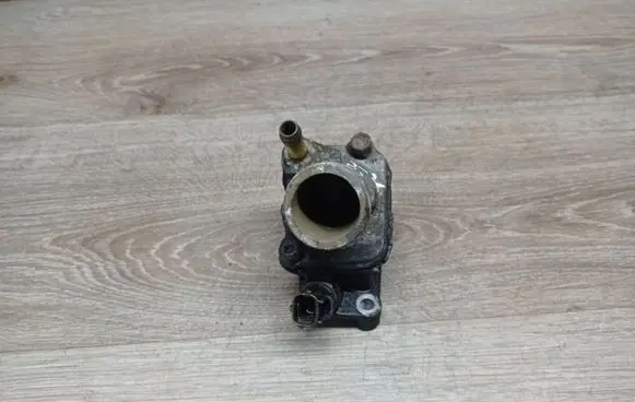 Thermostat/thermostat housing