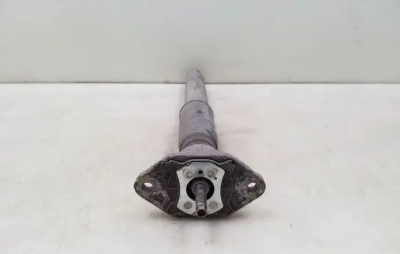 Porsche Panamera (970) Rear shock absorber/damper 97033316104
