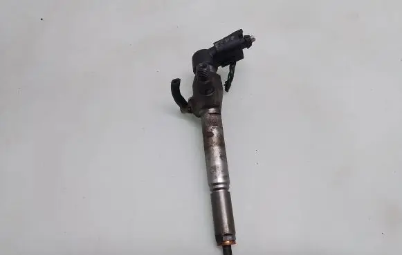 Renault Scenic II - Grand scenic II Fuel injector 8200880253