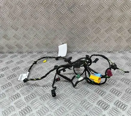Mercedes-Benz CLS C218 X218 Front door wiring loom A2185405207