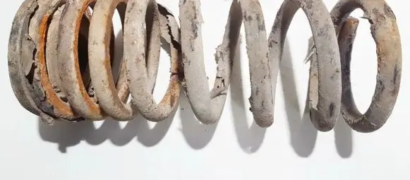 Rear coil spring