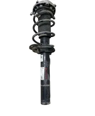 Cupra Born Front shock absorber/damper 1EA412013EF