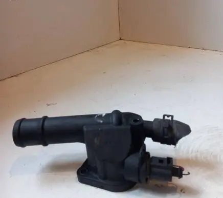 Thermostat/thermostat housing
