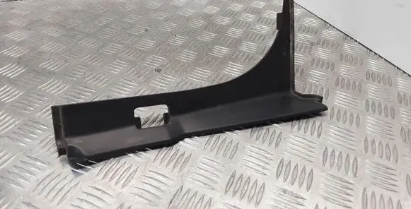 Rear/tail light trim molding