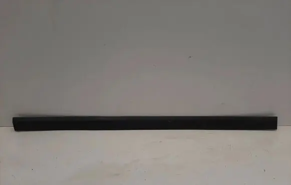 Front door trim (molding)