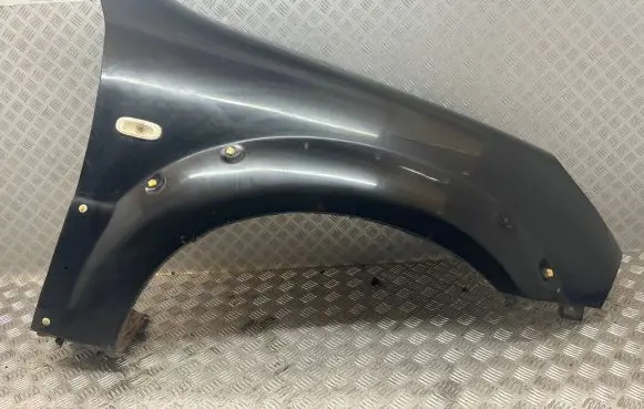 SsangYong Rexton Fender