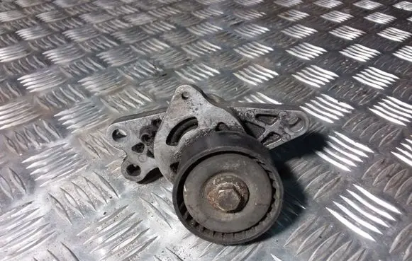 Peugeot 206 Generator/alternator belt tensioner 9649675880