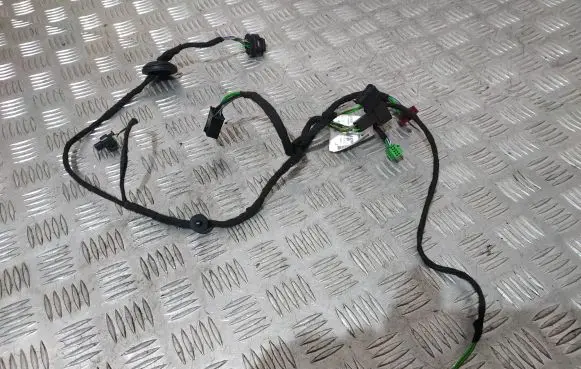 Front door wiring loom