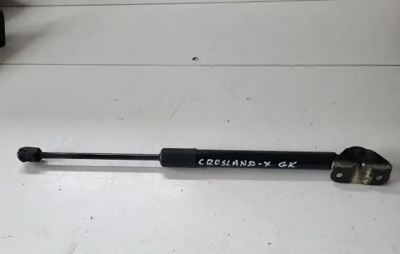 Opel Crossland X Tailgate/trunk strut/damper 39117353