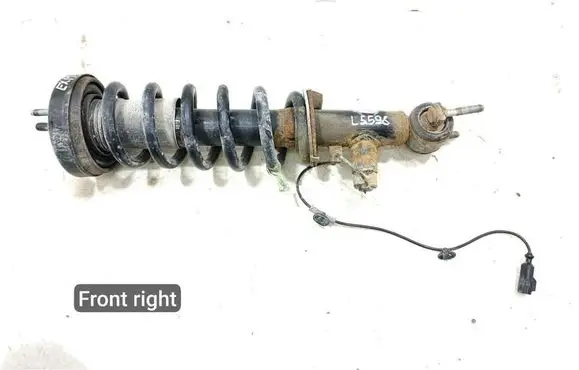 Ford Expedition Front shock absorber/damper JL1413B060