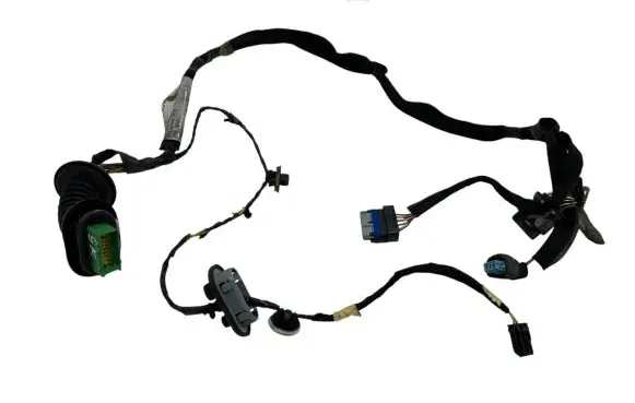 Citroen DS5 Rear door wiring loom 9801373180 55QYR3004