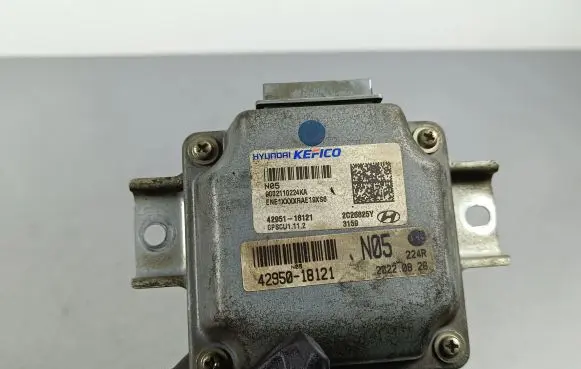 Hyundai Ioniq 5 Other control units/modules 4295018121