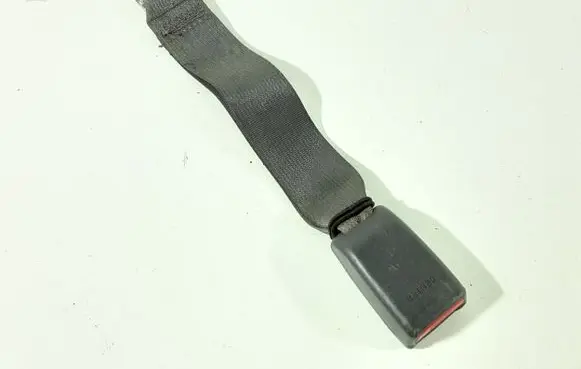 Middle seatbelt buckle (rear)