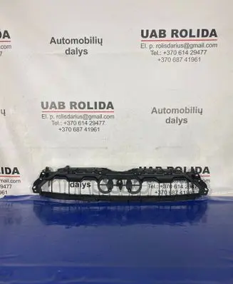 Audi A5 Front bumper upper radiator grill