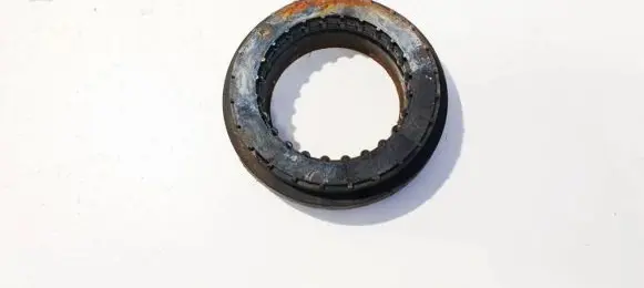 Coil spring mount