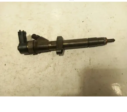 Renault Espace - Grand espace IV Fuel injector 8200084534
