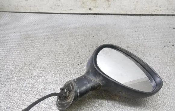 Fiat Punto Evo Front door electric wing mirror E3011024