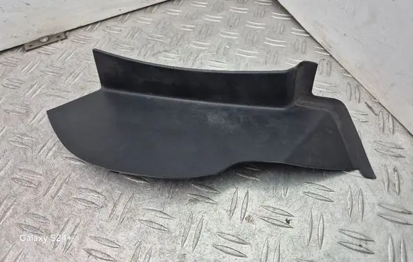 Rear/tail light trim molding