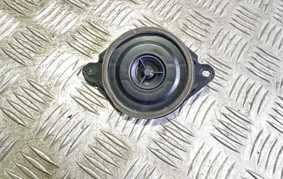 Panel speaker
