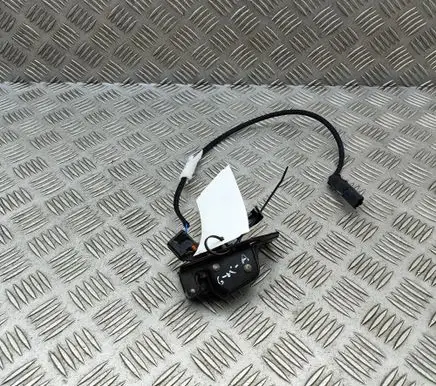 Opel Vivaro Rear door lock 9822398680