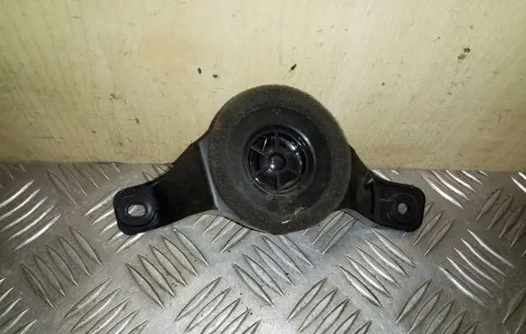 Toyota RAV 4 (XA30) Panel speaker 8616042120