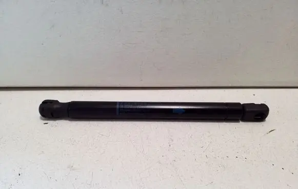 Tailgate/trunk strut/damper