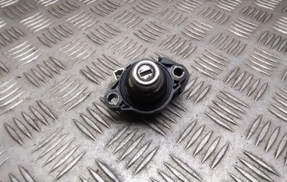 BMW 7 E65 E66 Tailgate exterior lock 
