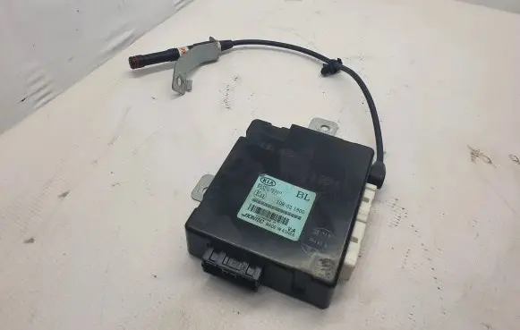 KIA Sorento Other devices 954003E310