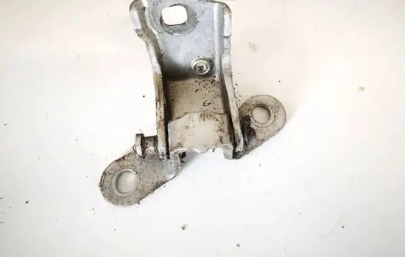 Rear door lower hinge