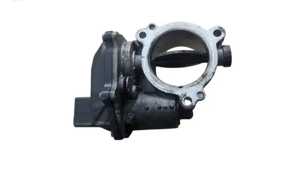 Throttle body valve