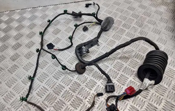 Volkswagen Phaeton Front door wiring loom 3D1971121