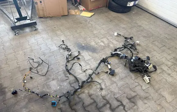 Ford Focus Left interior wiring harness JX6T14A094AE