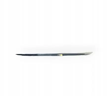 Audi A4 S4 B9 Sill/side skirt trim 3J1TEILE