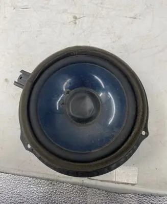 Rear door speaker