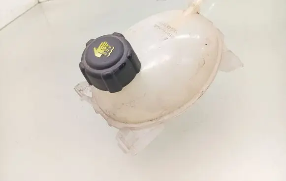 Dacia Sandero II Coolant expansion tank/reservoir 217107259R