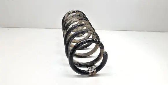 Chrysler 300 - 300C Front coil spring 04895627AB