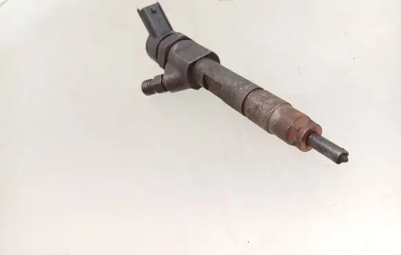 Renault Trafic II (X83) Fuel injector 0445110021