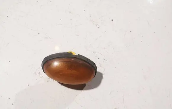 Chrysler Voyager Front fender indicator light 2812302153 04896023aa