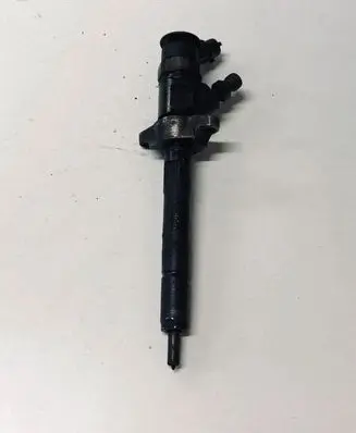 Citroen C5 Fuel injector 0445110297 620026