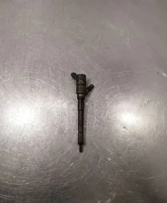 Hyundai Santa Fe Fuel injector 0445110254 3380027800