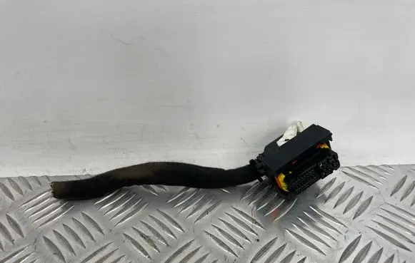 Hyundai Ioniq 5 Other wiring loom