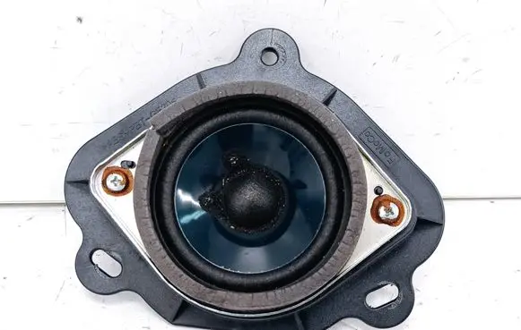 Ford Fusion II Parcel shelf speaker DS7T19B135AA