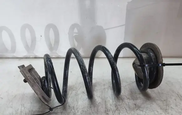 Rear coil spring