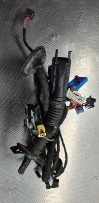 Skoda Kodiaq Front door wiring loom/harness boot 566971121JJ